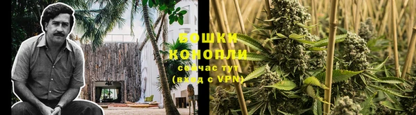 стафф Мегион