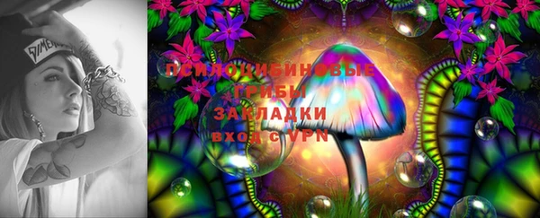 мдпв Медвежьегорск
