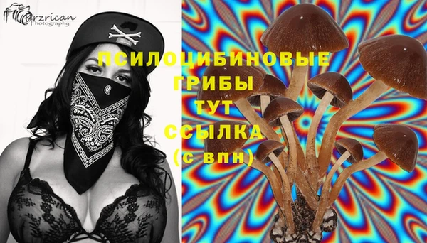 мдпв Медвежьегорск